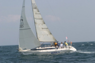 217_large