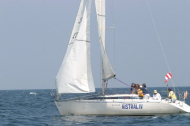 219_large