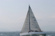 225_large