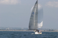 245_large