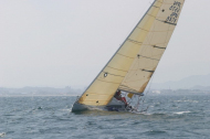 246_large