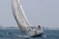 290_large