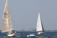 295_large
