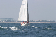 296_large