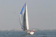86_large