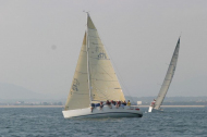 95_large