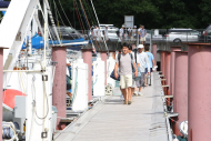 51peral_0084