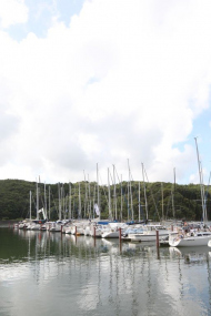 51peral_0110