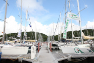 51peral_0115