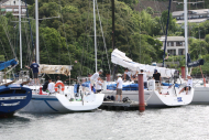 51peral_0116