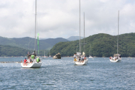 51peral_0180