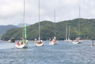 51peral_0181