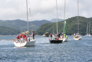 51peral_0182