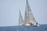 51peral_0186