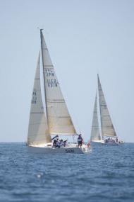 51peral_0187
