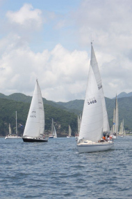 51peral_0217