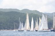 51peral_0237
