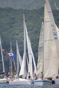 51peral_0241