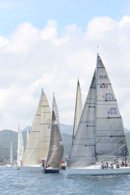 51peral_0254