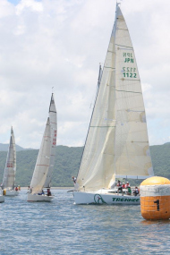 51peral_0256