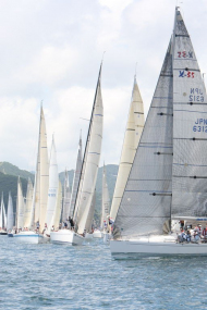 51peral_0261