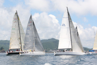 51peral_0265