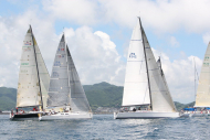 51peral_0266