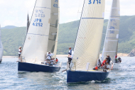 51peral_0269