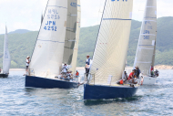 51peral_0270