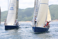 51peral_0271