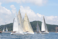 51peral_0272