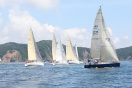51peral_0273