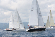 51peral_0281