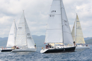 51peral_0282