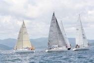51peral_0284