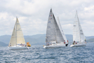 51peral_0285