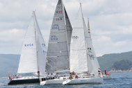 51peral_0286
