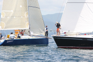 51peral_0288