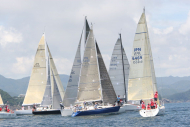 51peral_0291
