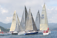 51peral_0292