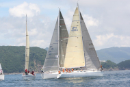 51peral_0294