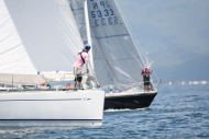 51peral_0299