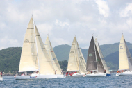 51peral_0306