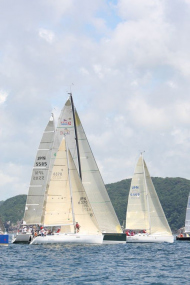 51peral_0308