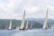 51peral_0319