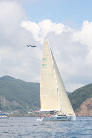 51peral_0323