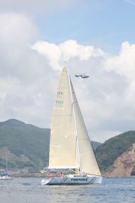 51peral_0324