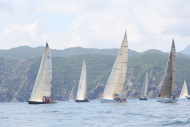 51peral_0325