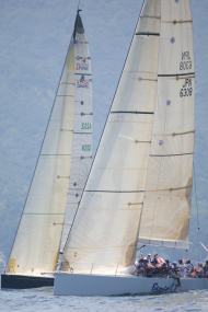 51peral_0329