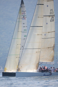 51peral_0330
